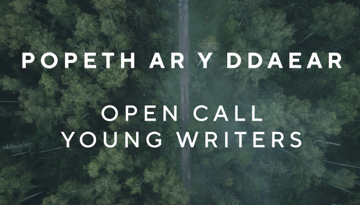Popeth ar y Ddaear Open Call for Young Writers