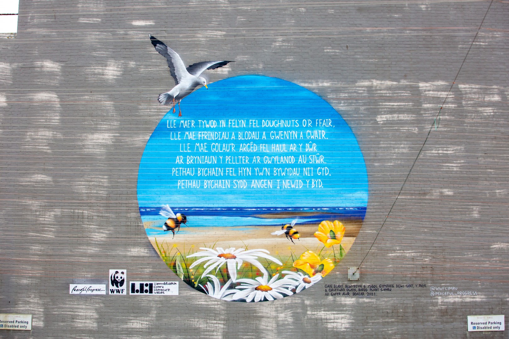 Credit Llenyddaieth Cymru - Literature Wales WWF Project