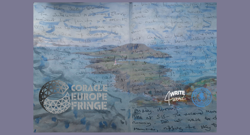 Enlli: Island Poetry and Experience