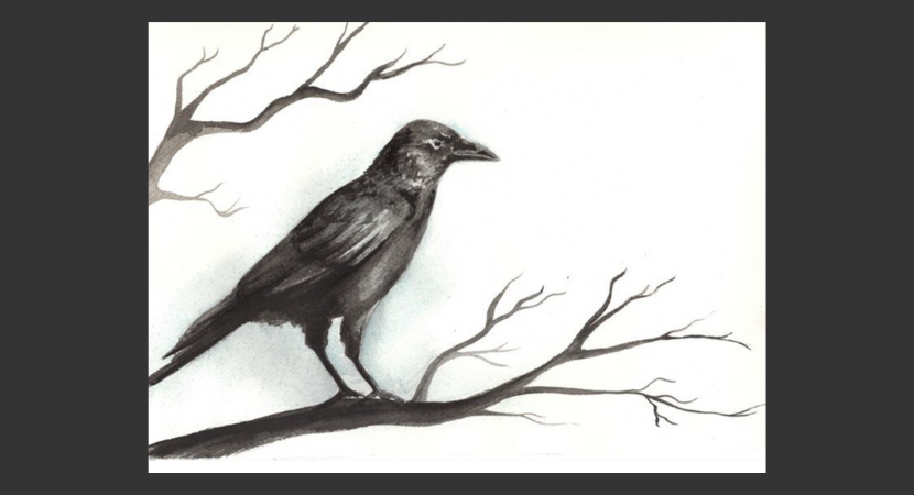 Poetry workshops with Adam Cairns at Newport Wetlands