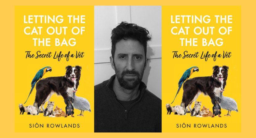 Siôn Rowlands: Letting the Cat Out of the Bag