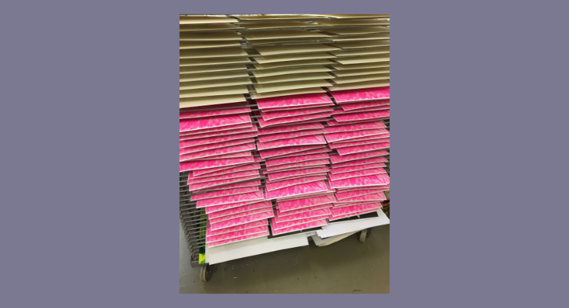 Spineless Wonders of Wales: poetry, presses and zines