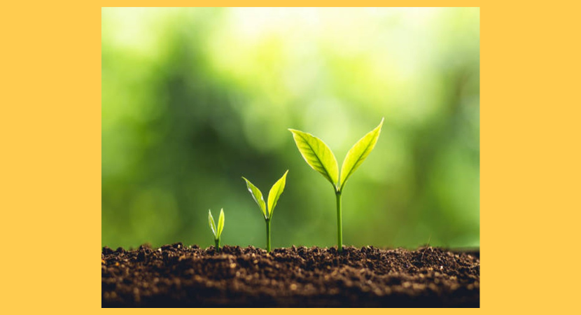 Creative Approaches to Finding Hope and Connection within Death, Loss and Bereavement