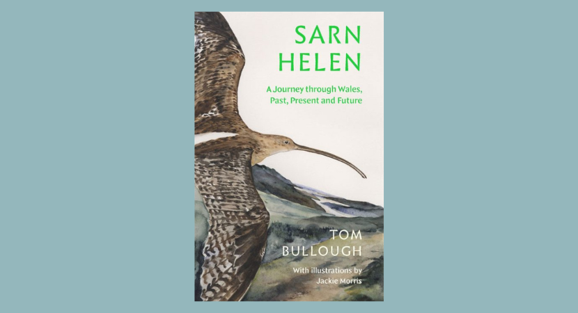 An Evening with TOM BULLOUGH, author of SARN HELEN: A Journey Through Wales Past, Present & Future.