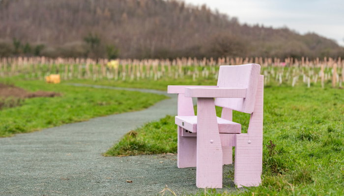 National Poet of Wales helps note Covid-19 memorial woodland on Erddig estate