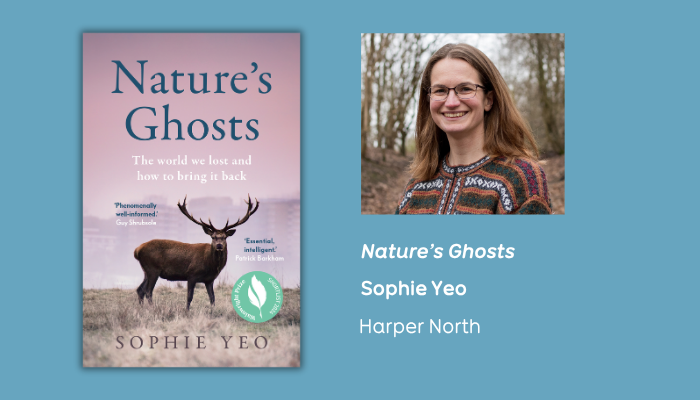 Wales Book of the Year Focus: Sophie Yeo